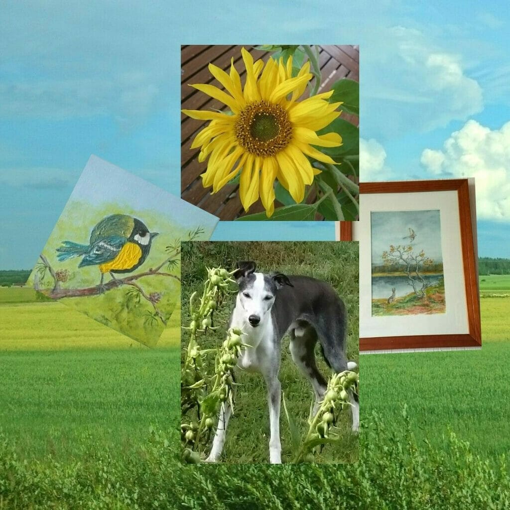 tmalvisaloblogikuva